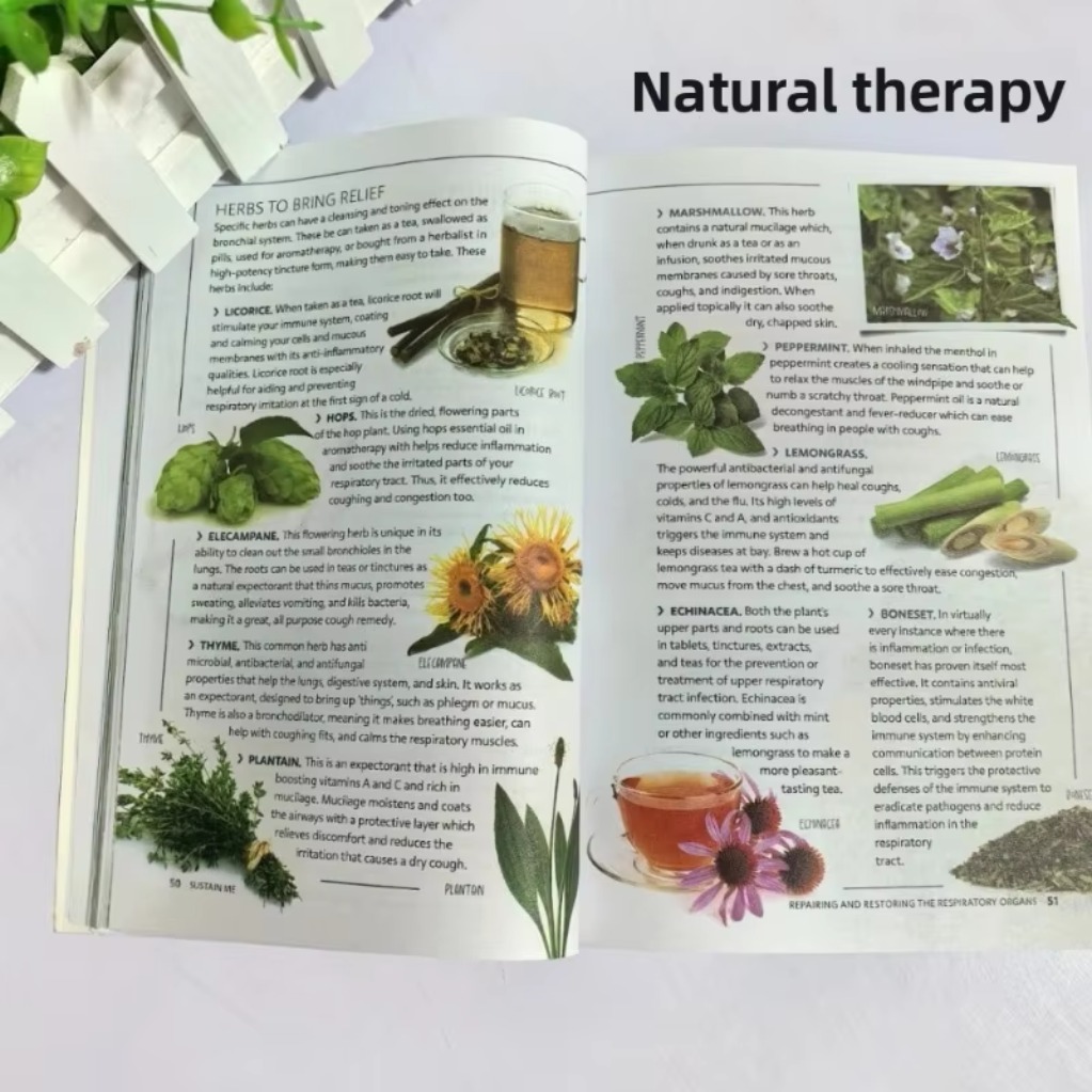 Sustain Me Barbara O'Neill A H - Health Wellness Lifestyle recension och pris