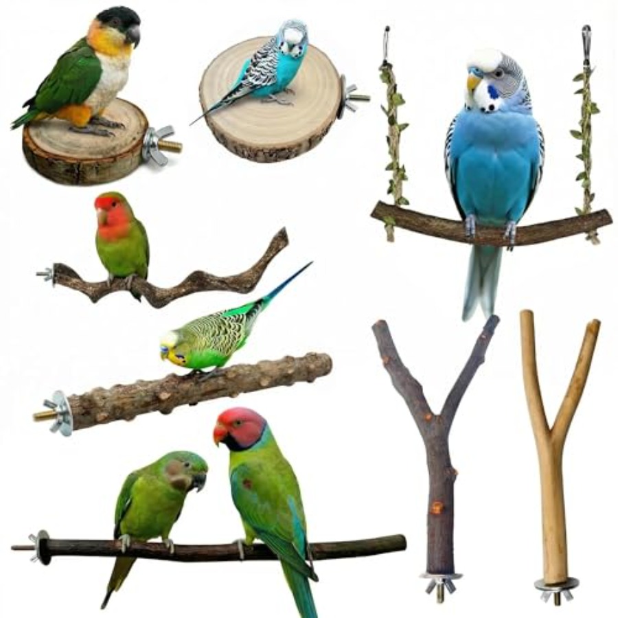 8PCS natural wood bird perches - Health & Wellness Unlimited recension och pris